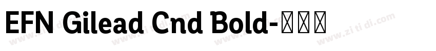 EFN Gilead Cnd Bold字体转换